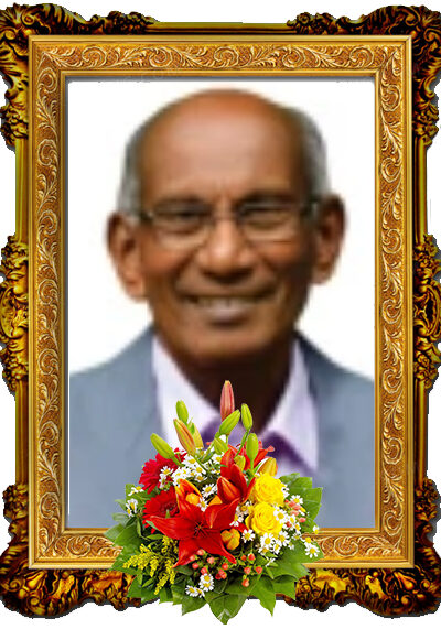 velupillai-thillainathan