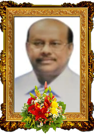 திரு இரத்னகுமாரன் சபாபதிப்பிள்ளை